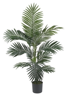 Home Accent 4 Kentia Palm Silk Tree, Green