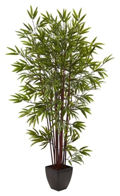 6 Bamboo Silk Tree with Planter, Green