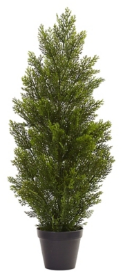 3 Mini Cedar Pine Tree (Indoor/Outdoor), Green