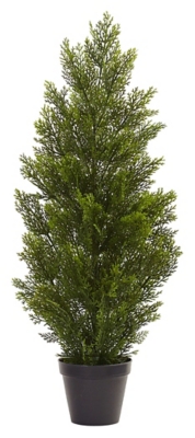 Home Accent 3’ Mini Cedar Pine Tree (Indoor/Outdoor), , large