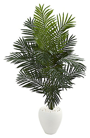 Feel the warm tropical breeze blow through your hair as you sit and gaze at this vibrant Paradise palm tree. Standing over five feet high, this lovely tree is tall enough to make a bold statement yet compact enough to fit inside a small office or cozy apartment space. Comes in a textured white ceramic pot with foam and moss.Made of plastic, polyurethane, vinyl, polyester, cement, moss and ceramic | Plastic leaves attached to container with foam and moss | Decorative ceramic container included