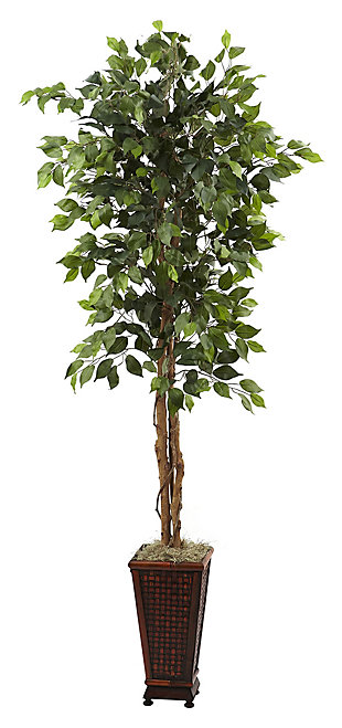 Home Accent 6.5’ Ficus with Decorative Planter, , large