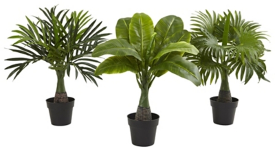 Home Accent Areca, Fountain and Banana Palm (Set of 3), , large