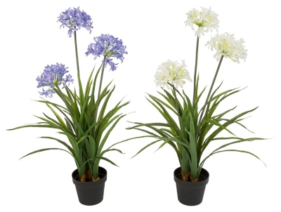 Decorative Assorted Artificial Agapanthus In Pot (set Of 2), , large