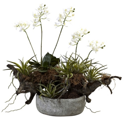 Orchid and Succulent Garden with Driftwood and Decorative Vase, White/Green