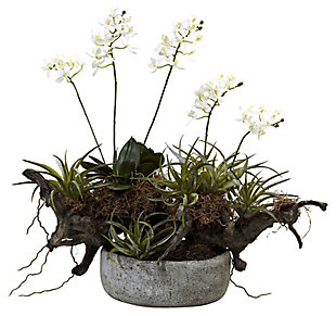 Home Accents Orchid and Succulent Garden with Driftwood and Decorative Vase, , large