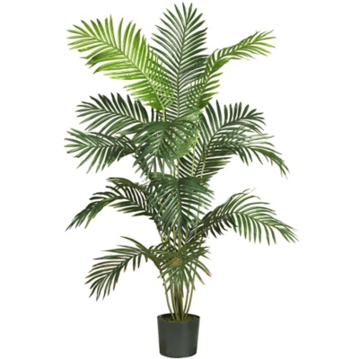 Home Accents 6' Paradise Palm, , rollover