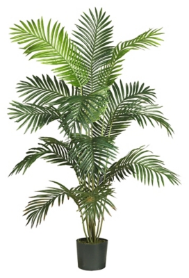 Home Accents 6' Paradise Palm, , large