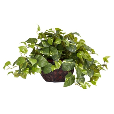 Pothos with Decorative Vase Silk Plant, Green