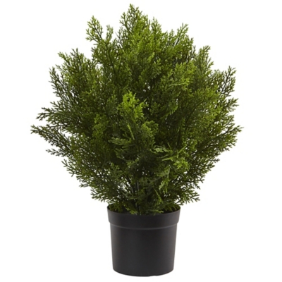 Home Accents 2’ Cedar Bush (Indoor/Outdoor), , rollover