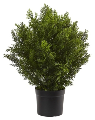 Home Accents 2’ Cedar Bush (Indoor/Outdoor), , large