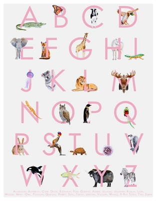 Oopsy Daisy Animal Kingdom ABC's - Pink by Brett Blumenthal Posters That Stick, Pink, large