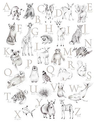 Oopsy Daisy Baby Animal Alphabet - Greige by Nicky Quartermaine Scott Canvas Wall Art, Gray, large