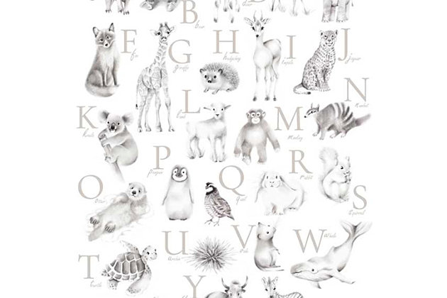 Getting to know your ABC’s is a lot more engaging with cute baby animals there to help. Complete their nursery with this educational gallery wrapped wall art designed by famed artist Nicky Quartermaine Scott. Created using the best digital reproduction methods available for exceptional color and clarity, this premium canvas artwork makes a furr-ociously fun statement piece.Gallery wrapped canvas wall art | Created using highest quality digital reproduction method for exceptional color and clarity | Printed on artist-grade premium canvas, stretched by hand over custom-built 1.5" wood frame | Proudly printed in the USA