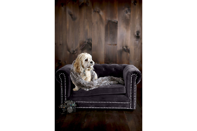 Pamper your pet. This luxurious pet bed adds a touch of style to any room and has a soft shade that is easy on the eyes. Your four-legged family member can sleep comfortably any time of day without being separated from family activity. The luxurious pet sofa features a button-tufted back and hand-applied nailhead trim. Its washable, waterproof velvet is easy to clean and sure to last.Solid wood frame | Upholstered in waterproof velvet fabric | Handmade | Removable, washable cushion | No assembly required | Imported
