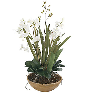 Uttermost Moth Orchid Planter, , large