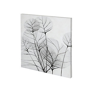 Mercana Branches Illuminated By A Bright Full Moon (30 x 30) Canvas Art, , large