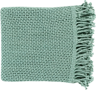 Home Accents Throw, , large