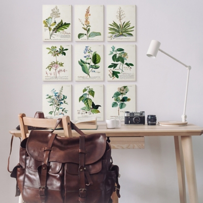 Stupell Industries Vintage Botanical Greenery Illustrations Canvas Art Set, Beige