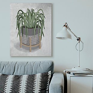 Friendly Spider Plant 36x48 Canvas Wall Art, Gray, rollover