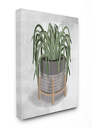 Friendly Spider Plant 36x48 Canvas Wall Art, Gray, large