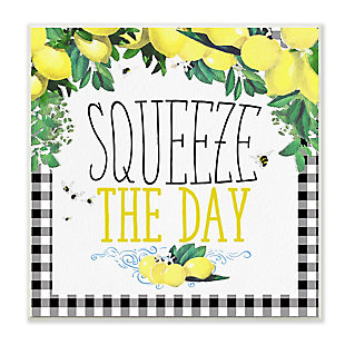 Squeeze The Day Kitchen Humor 12x12 Wall Plaque, , large