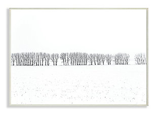Winter Tree Line Photograph 10x15 Wall Plaque, White, large