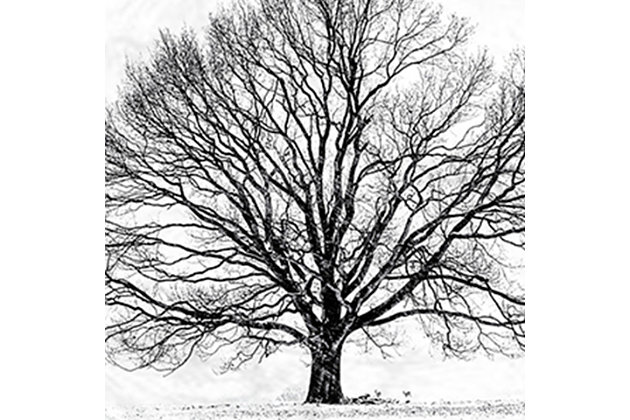 Black and white minimalist photography that looks like a line drawing. There is stillness in the depiction of this lone tree. First came wood, then came canvas, and now we introduce our 'Framed Giclee Textured Wall Art.' 100% Made in USA as always, we start with a giclee lithograph mounted on wood, and finish it with a texturized brush stroke finish. We didn't stop there though as we fit it within a 1.5 inch thick ebony wood grain frame to add depth and dimension. Ready to hang.Ready to hang | Proudly made in usa | Design by matthias conrad