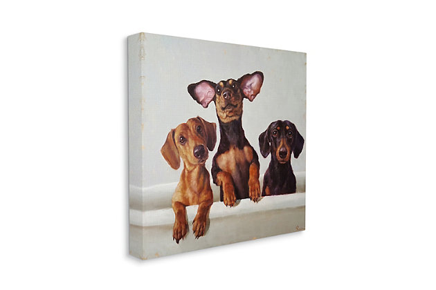 Three adorable dachshunds are ready for their bath. Great bathroom art for the dog lover. Proudly made in the USA, our stretched canvas is created with only the highest standards. We print with high quality inks and canvas, and then hand cut and stretch it over a 1.5 inch thick wooden frame. The art comes ready to hang with no installation required.Ready to hang | Proudly made in usa | Design by lucia heffernan