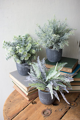Set of Three Fern Succulents with Round Gray Pots, , rollover