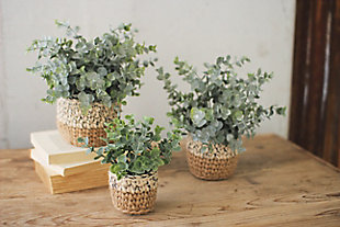 Set of Three Artificial Eucalyptus Plants In Woven Pots, , rollover