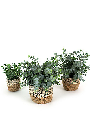 Set of Three Artificial Eucalyptus Plants In Woven Pots, , large