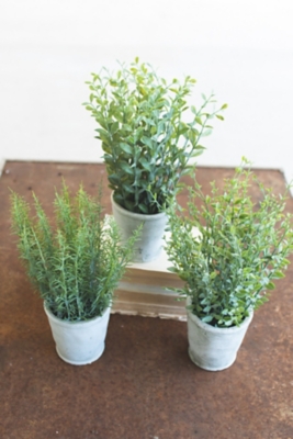 Set of Three Artifial Herbs In Cement Pots, Green