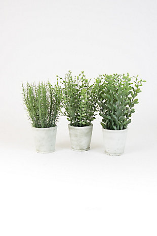 Set of Three Artifial Herbs In Cement Pots, , large