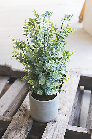 Artificial Boxwood In a Cement Pot, , rollover