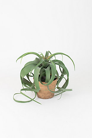 Artificial Airplant In a Pot (Box of 2), , large