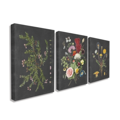 Botanical Chalkboard Flowers Illustrations 3pc 24x30 Canvas Wall Art, Multi, rollover