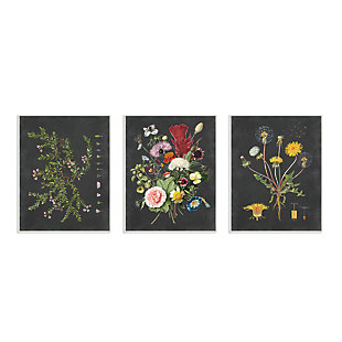 Botanical Chalkboard Flowers Illustrations 3pc 10x15 Wall Plaque, , large