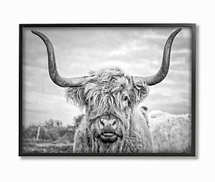 Black and White Highland Cow 24x30 Black Frame Wall Art, Multi, large