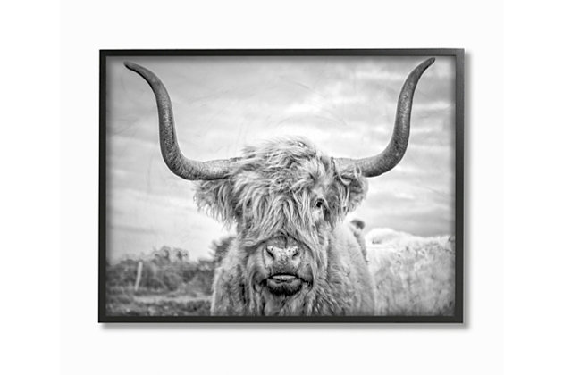 The long hair and long horns of the Scottish Highland cow have become a decorating icon. The delicate balance of greys in this photograph create a serene portrait. First came wood, then came canvas, and now we introduce our 'Framed Giclee Textured Wall Art.' 100% Made in USA as always, we start with a giclee lithograph mounted on wood, and finish it with a texturized brush stroke finish. We didn't stop there though as we fit it within a 1.5 inch thick ebony wood grain frame to add depth and diminsion. Ready to hang.Ready To Hang | Proudly Made In USA | Design By Artist Joe Reynolds