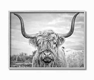Black and White Highland Cow 16x20 Gray Frame Wall Art, Multi, large