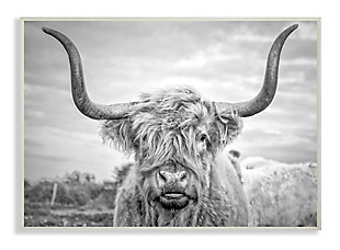 Black and White Highland Cow 13x19 Wall Plaque, Multi, large