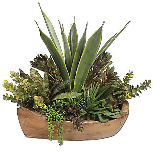 Uttermost Salar Succulents In Teak Bowl, , large