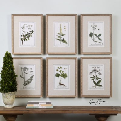 Uttermost Green Floral Botanical Study Prints Set of 6, , rollover