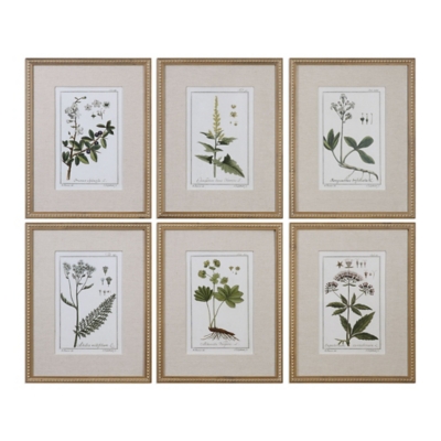 Uttermost Green Floral Botanical Study Prints Set of 6, , large