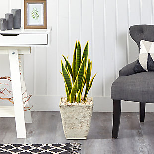 30” Sansevieria Artificial Plant in Country White Planter, , rollover