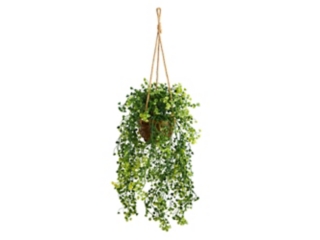 20” Baby Tear Artificial Plant in Hanging Basket