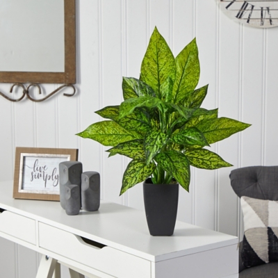 21 Dieffenbachia Artificial Plant in Black Planter, Green