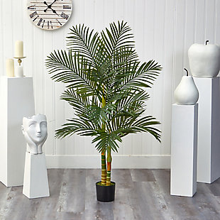 Double Stalk Golden Cane Palm Tree, , rollover