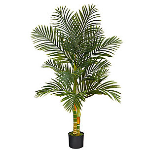 Double Stalk Golden Cane Palm Tree, , large